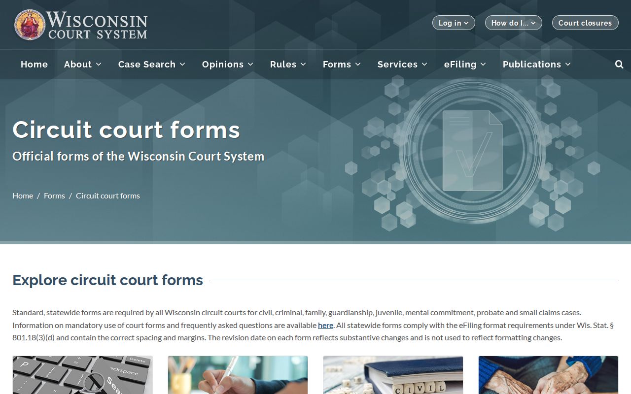 Iron County civil docket official Wisconsin form categories